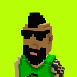 Voxel HoodPunks #795