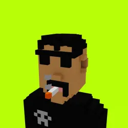 Voxel HoodPunks #896