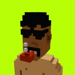 Voxel HoodPunks #873