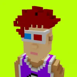 Voxel HoodPunks #1019