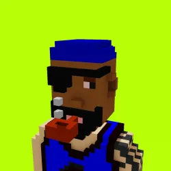 Voxel HoodPunks #594