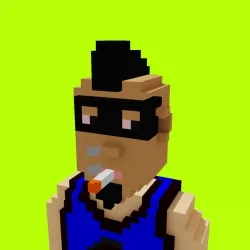 Voxel HoodPunks #970