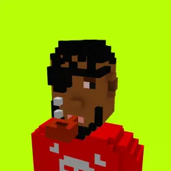 Voxel HoodPunks #853