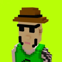 Voxel HoodPunks #284