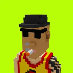 Voxel HoodPunks #984