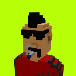 Voxel HoodPunks #897