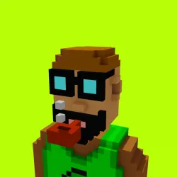 Voxel HoodPunks #892