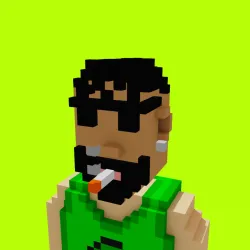 Voxel HoodPunks #757