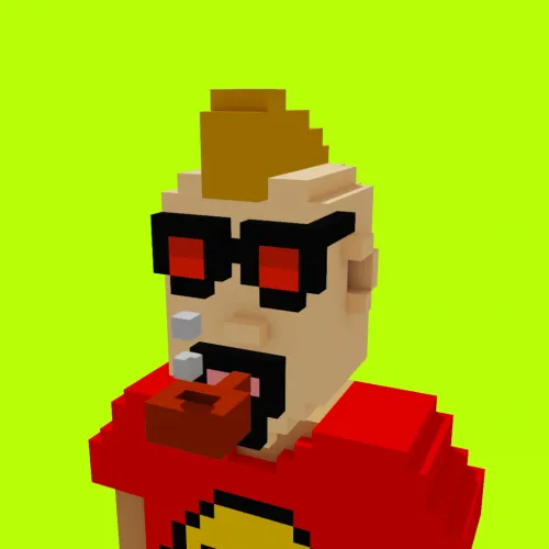 Voxel HoodPunks #501
