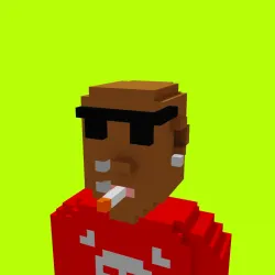 Voxel HoodPunks #978