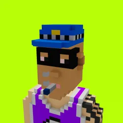 Voxel HoodPunks #981