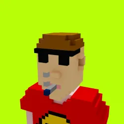 Voxel HoodPunks #894