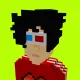 Voxel HoodPunks #341