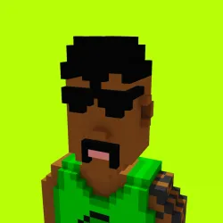 Voxel HoodPunks #982
