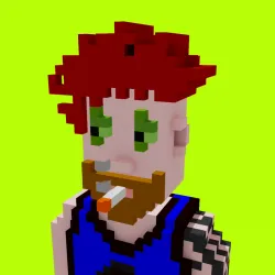 Voxel HoodPunks #856
