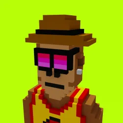 Voxel HoodPunks #70