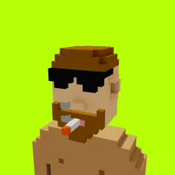 Voxel HoodPunks #907