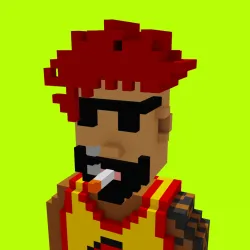 Voxel HoodPunks #1016