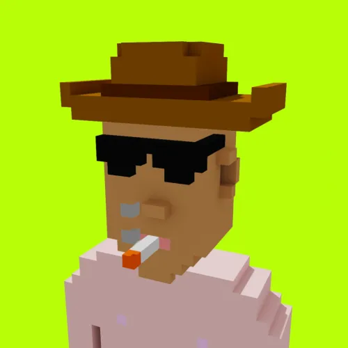 Voxel HoodPunks #190