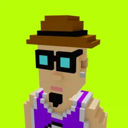 Voxel HoodPunks #920