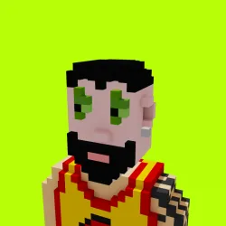 Voxel HoodPunks #870
