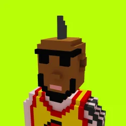 Voxel HoodPunks #911