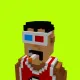 Voxel HoodPunks #299