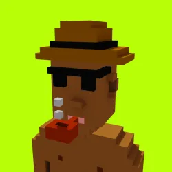 Voxel HoodPunks #855