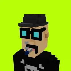 Voxel HoodPunks #861