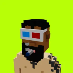 Voxel HoodPunks #964