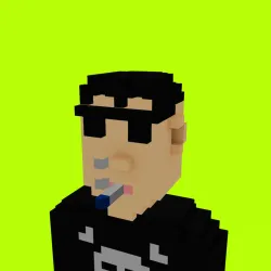 Voxel HoodPunks #788