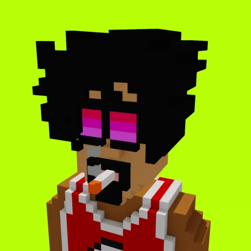 Voxel HoodPunks #271
