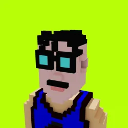 Voxel HoodPunks #902