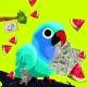 CashBird  #1271