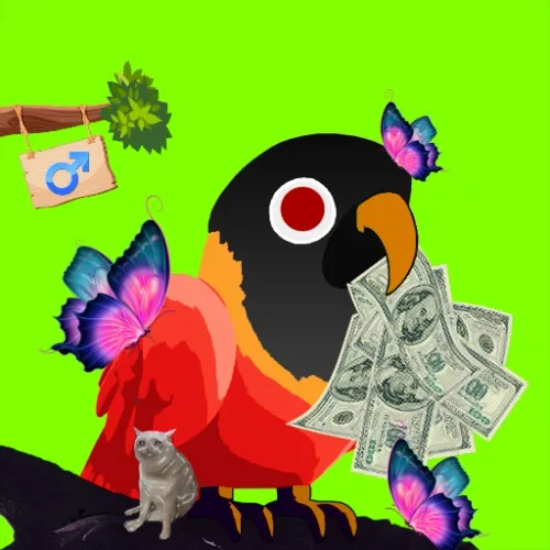 CashBird  #661