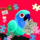 CashBird  #1273