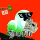 CashBird