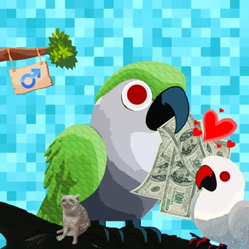 CashBird