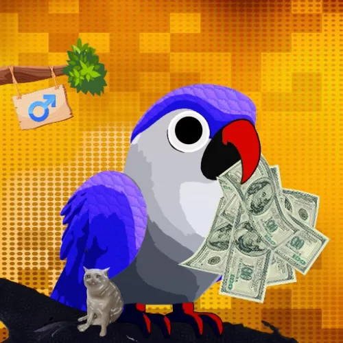 Item #1262 Media