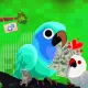 CashBird  #1267
