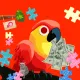CashBird  #1255