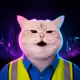 5496