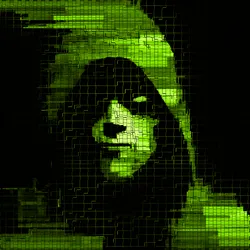 HoodSignals #15