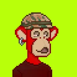Robin Apes #665