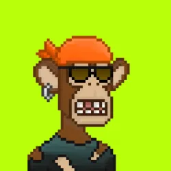 Robin Apes #872
