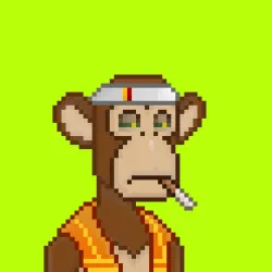 Robin Apes #852