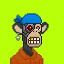 Robin Apes #871