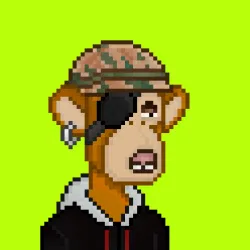Robin Apes #879