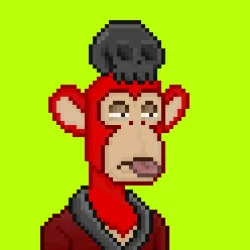 Robin Apes #693