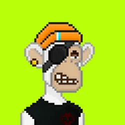 Robin Apes #720